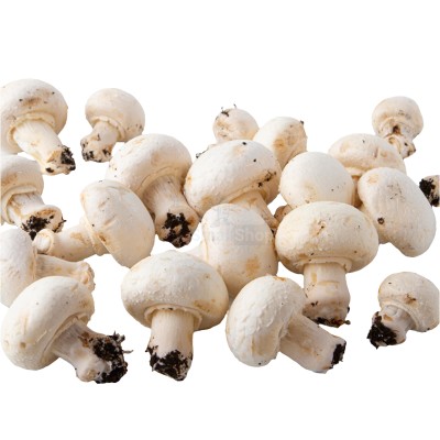 Шампиньоны свежие 500 г - купить в Дачном